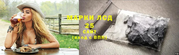 ПСИЛОЦИБИНОВЫЕ ГРИБЫ Балахна