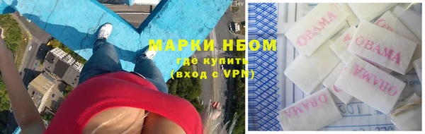 бошки Аркадак