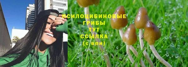 ПСИЛОЦИБИНОВЫЕ ГРИБЫ Балахна