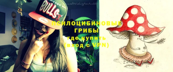 ПСИЛОЦИБИНОВЫЕ ГРИБЫ Арсеньев